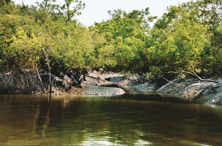রোদ্দুরের কথকথা- দুই ডিঙায় দক্ষিণরায় বনবিবি আর মাঝে নিশিরডাক