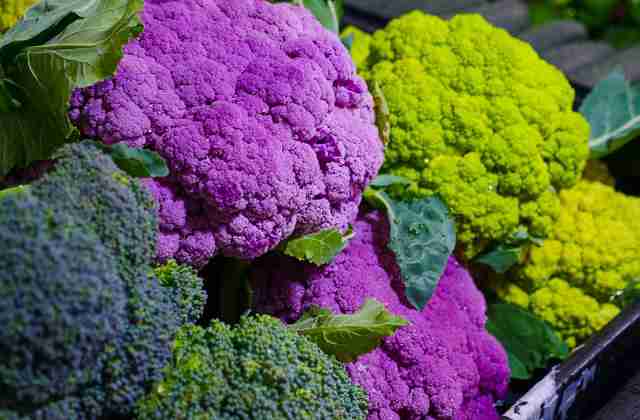 এত রঙের ফুলকপি! food, vegetable, new vegetable, coloured cauliflower, health, healthy