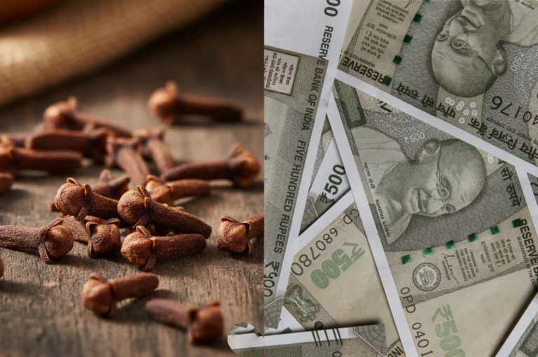 খরচ নিয়ে টানাটানি? মানিব্যাগে টাকার সাথে রাখুন এই একটি জিনিস, অর্থ উপচে পড়বে│ Wallet Attract Money Tips Cloves and Indian rupee notes symbolizing Wallet ATTRACT MONEY Tips for money and prosperity