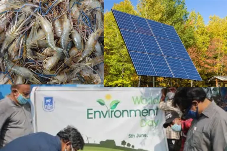 Rural women farming shrimp in Sundarbans alongside modern EV charging stations, representing Bengal climate projects and green economy.