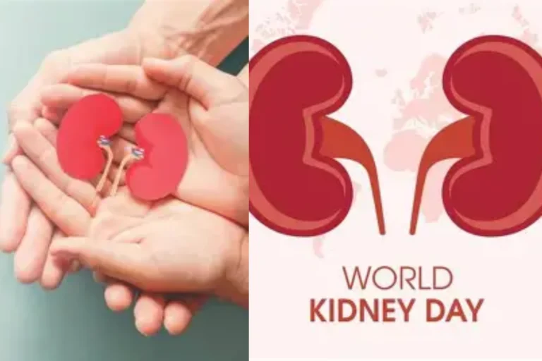 Doctor holding a kidney model during a health campaign promoting World Kidney Day awareness and educating people about kidney disease prevention and healthy lifestyle.
