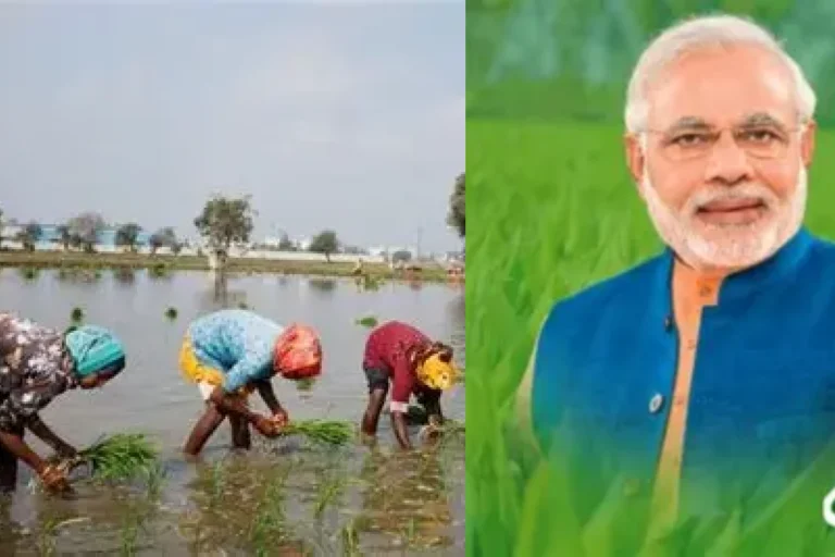 PM Kisan scheme beneficiary eligibility farmers checking application status on pmkisan.gov.in portal