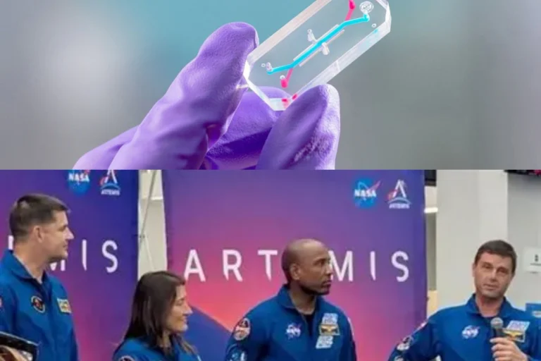 Artemis 2 mission medical experiment astronauts conducting space radiation study