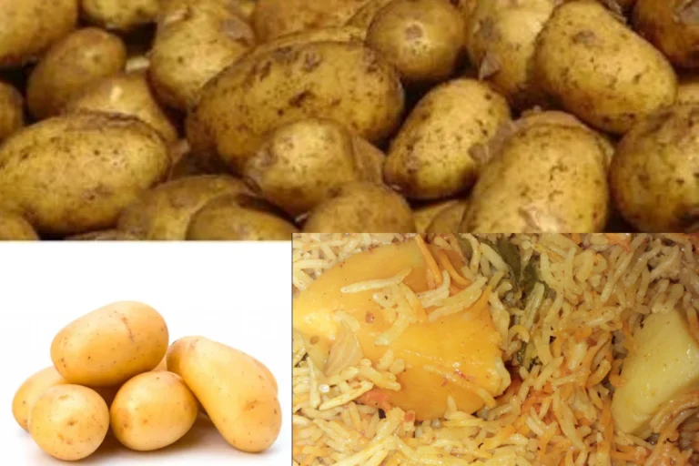 বাঙালির রান্নাঘরের দুই রাজা: চন্দ্রমুখী আর জ্যোতি— কোন আলু আপনার জন্য ঠিক? জানুন এখনই Chandramukhi vs Jyoti Potato comparison showing texture, shape, and skin differences